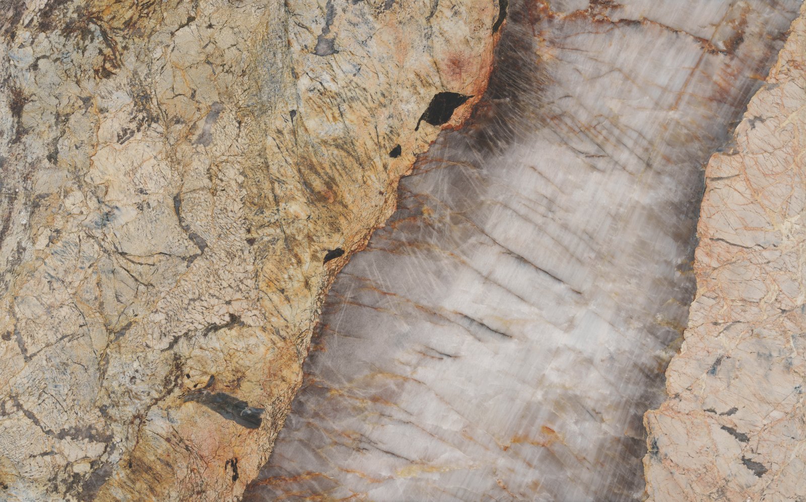PATAGONIA GOLD Hover